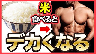 【筋肥大】筋肉をデカくしたいなら米を食べるべき理由 [upl. by Seldun]