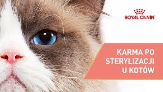 Karma po sterylizacji kotów  Dieta STERILISED APPETITE CONTROL  ROYAL CANIN [upl. by Raffaj726]