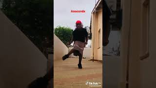 amapiano dance challenge anacondaviral [upl. by Myrtice170]