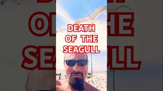 DEATH OF THE SEAGULL KILL THE SEAGULL IN YOU mgtow redpill cheating seagulls eagles [upl. by Mcnelly]