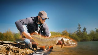 Pêche du gros brochet au leurre  A chaque étang sa technique [upl. by Martie]