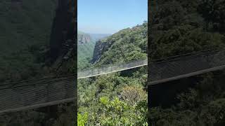 Suspension bridge Oribi gorge [upl. by Drucie]