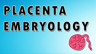 Placenta Embryology and Functions [upl. by Anitnatsnok]