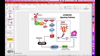 System Biology  Class Discussion [upl. by Pampuch368]