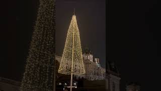 Christmas market  MariaTheresienPlatz viennaaustria christmas [upl. by Atnek426]