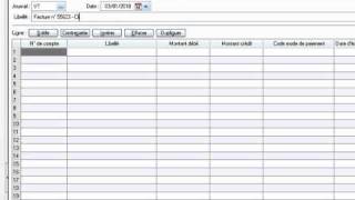 Vidéo n° 3 La saisie des écritures comptables [upl. by Katrina]