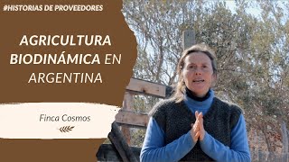 Agricultura Biodinámica en Argentina Finca Cosmos Parte 1 [upl. by Abra507]