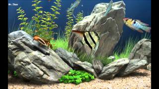 Dream Aquarium Screensaver HD [upl. by Baoj]