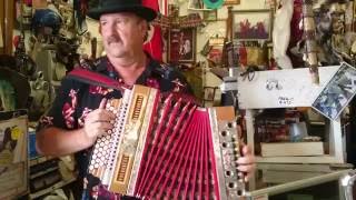 Slovenian Accordion [upl. by Fendig639]