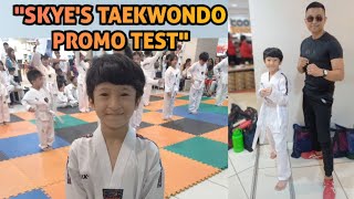 quotSkyes Taekwondo Promo Testquot Taekwondo JinJei Bee TV Vlog 53 [upl. by Mitinger]