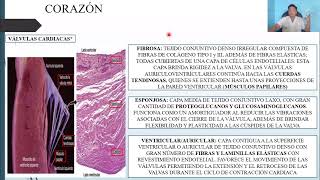 HISTOLOGÍA SISTEMA CARDIOVASCULAR [upl. by Bever]