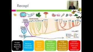 Introduction to Eukaryotes [upl. by Jacobina820]