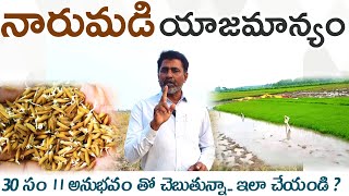 Vari naarumadi yajamanyam  వరి నారుమడి యాజమాన్యం [upl. by Noired]