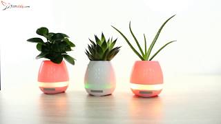 Smart Plant Pot™ Singing Flower Pot with LED Light [upl. by Adel]