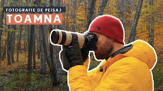 Fotografie de Peisaj Toamna in Padure cu Lumina Difuza [upl. by Atinuaj]