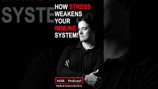 How Stress Weakens Your Immune System shorts shortsfeed msrpodcast [upl. by Selig]