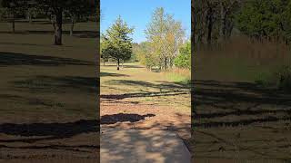 discgolf discgolflife mvpdiscsports axiomrhythm disclife dangdiscgolf [upl. by Mccarty]