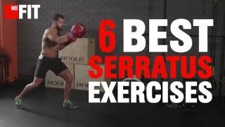 6 Best Serratus Exercises [upl. by Sammons182]