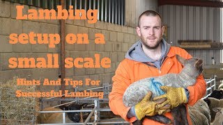 Lambing On A Small Scale Hints And Tips For Successful Lambing [upl. by Gaskin]