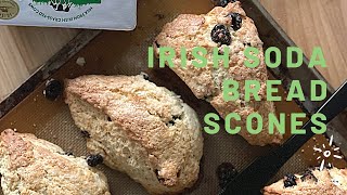 Irish Soda Bread Scones [upl. by Bernelle581]