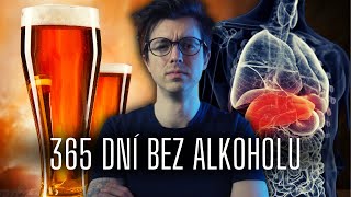 Co se děje s tělem když přestanete pít alkohol [upl. by Mendes]