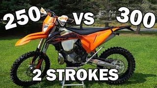 250 vs 300 2 Stroke  Why I Chose the 250 [upl. by Charmane442]