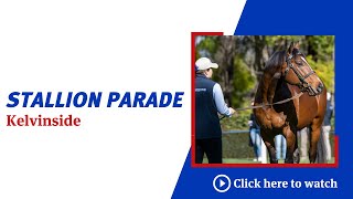 Thank you for attending the 2023 Darley Kelvinside stallion parade [upl. by Bonaparte356]