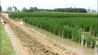 LOUISIANA FARM BUREAU INTERVIEW WITH A RICE FARMER [upl. by Westlund]