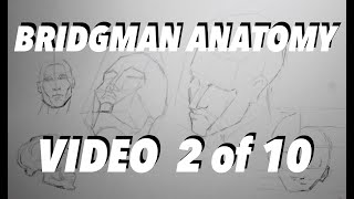 Bridgman Video 2 The Head [upl. by Lerual]