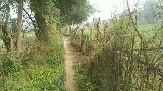 🔥🔥my first vlog ll mera khet ll muli dhaniya ✅ [upl. by Mafalda572]