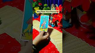 Msg From Your Person❤️Timeless Tarot tarot shortvideo [upl. by Va]