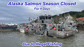 Alaskan Salmon Season Closed Due to Illegal Fishing [upl. by Asihtal]