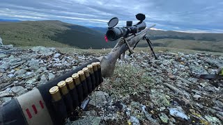 RECORD Alaskan barren ground caribou measuring 300 Inches [upl. by Ronacin314]