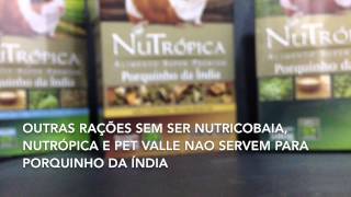 Resenha  ração nutrópica para porquinhos [upl. by Staford626]