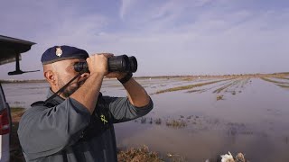 Le bilan se précise après les inondations meurtrières qui ont frappé lEspagne [upl. by Ame547]