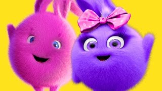 Cartoon  Sunny Bunnies  Special Compilation  Videos For Kids [upl. by Daht]