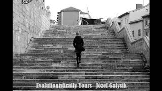 Evolutionistically Yours Józef GatysikPeaceful Piano [upl. by Ahtrim]