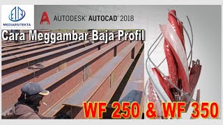 Cara Mudah Membuat Gambar Baja WF 250 Dan WF 350 Pakai Cad construction proyekbangunan [upl. by Ayanat]