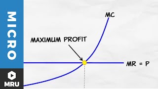 Maximizing Profit Under Competition [upl. by Bolten]