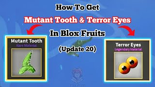 How to Get MUTANT TOOTH amp TERROR EYES in Blox Fruits Update 20 [upl. by Hermine]