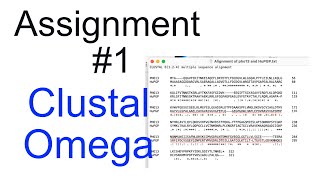 Clustal Omega Alignment [upl. by Atsillac754]