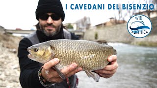 I Cavedani del Bisenzio  Pesca a bolognese [upl. by Andrej]