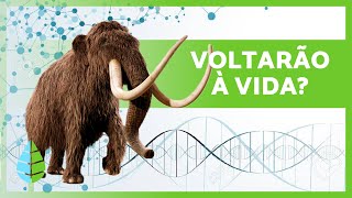 5 ANIMAIS EXTINTOS QUE PODEM VOLTAR À VIDA muito em breve 🦣🦤 Os cientistas vão revivêlos [upl. by Sivra684]