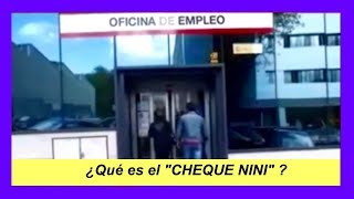 LA AYUDA PARA DESEMPLEADOS JÓVENES El Cheque Nini de 430 € [upl. by Batha]