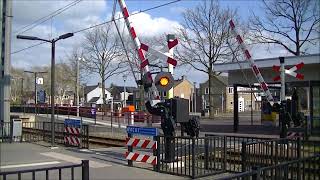 Spoorwegovergang Wijchen Station Wijchen  Dutch railroad crossing [upl. by Jolynn]