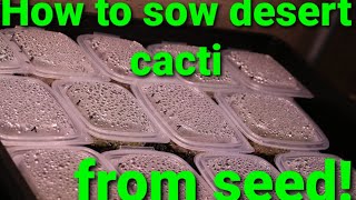 How to sow desert cacti from seed  My huge seed sowing project [upl. by Kellen]