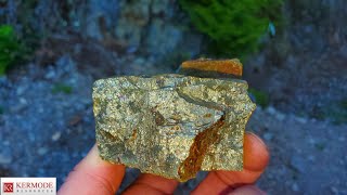 100KG Massive Chalcopyrite Removed From Outcrop Lucky Strike Property KLM [upl. by Seabrook]