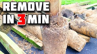 How to Remove Fence Post in 3 Minutes  How to Remove Concrete from the Ground [upl. by Saraann]