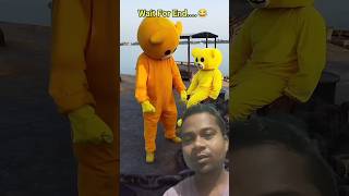 Teddy ne bookdown mar raha hai teddy teddy funny comedy [upl. by Groh]