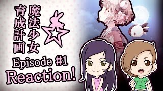 Episode 1 Reaction Magical Girl Raising Project「魔法少女育成計画」⭐️ Dango Duo [upl. by Akel]